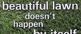 Picture of a lawn and a caption over it