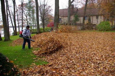 Fall Clean-up of leaf & debris